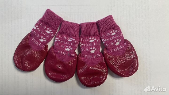 Носки для собак