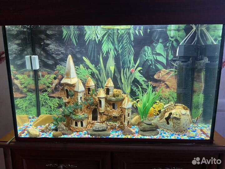Аквариум