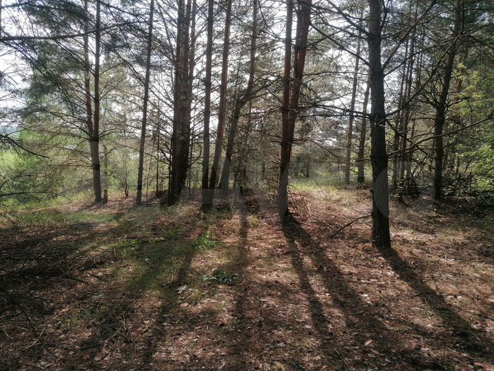 Участок 40 сот. (ИЖС)