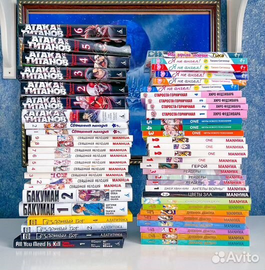 Продажа манги, аниме и фигурок (6)