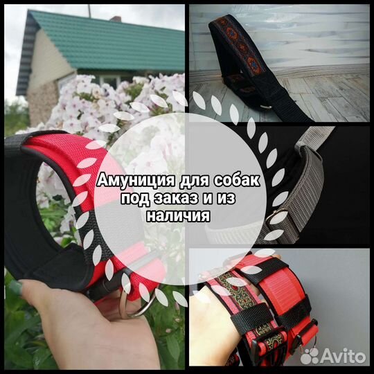 Ошейники и шлейки для собак под заказ