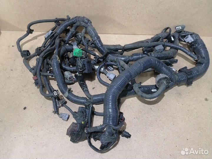 Проводка моторного отсека Nissan Juke 1.6 mr16ddt