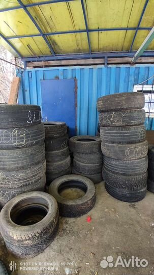 Accelera Beta 14/50 R14 и 195/50 R15