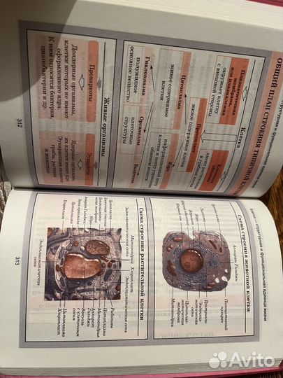 Справочник по биологии