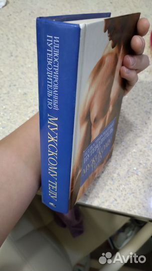 Книга путеводитель по мужскому телу