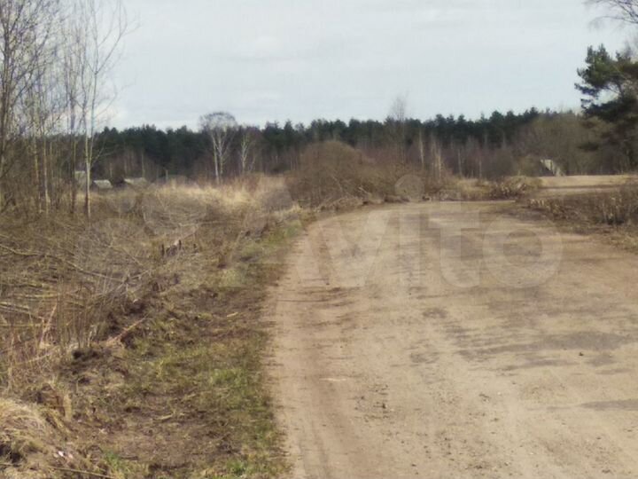 Участок 65 сот. (ИЖС)