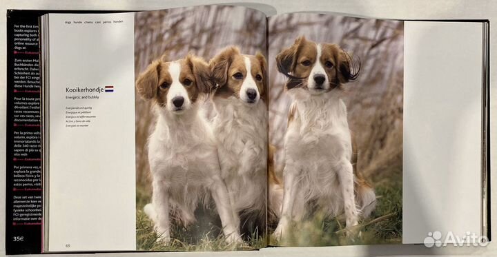 Энциклопедии пород собак Eukanuba
