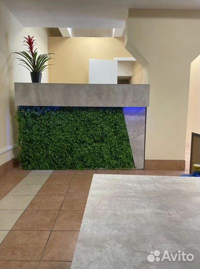 Стойка ресепшн для приемной зоны Эко