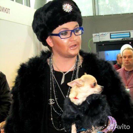 Супер Шоу Двойников и Пародий