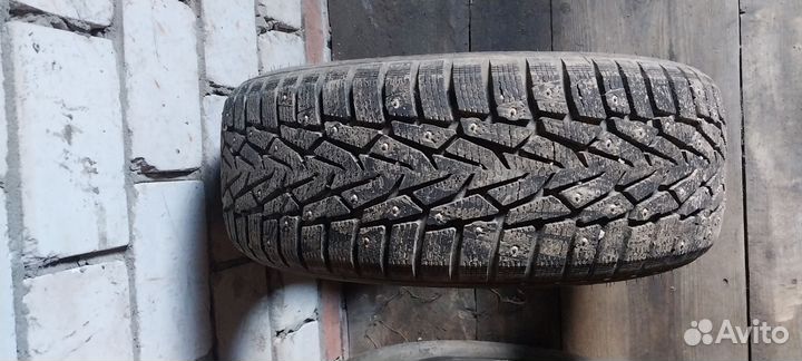 Nokian Tyres Nordman 7 205/50 R17