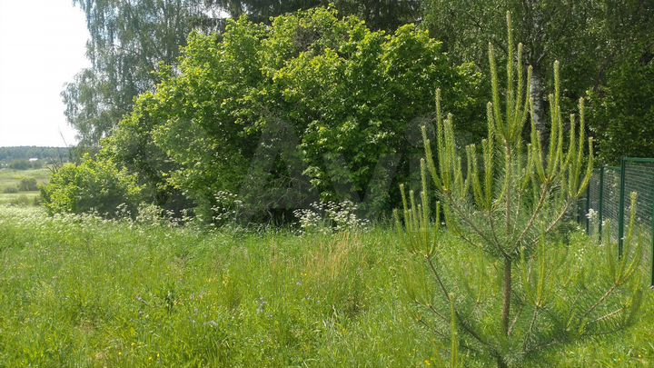 Участок 15 сот. (ИЖС)