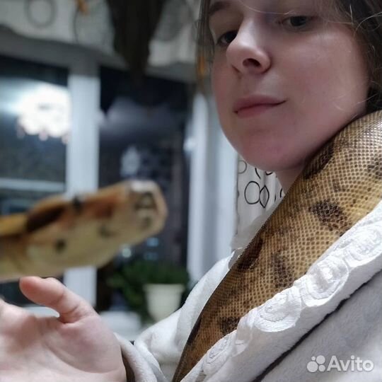 Уход за экзотическими животными, передержка