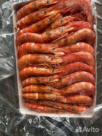 Лангустины L2