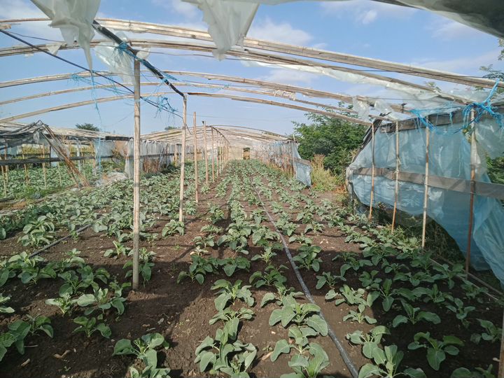 Участок 9 сот. (ИЖС)