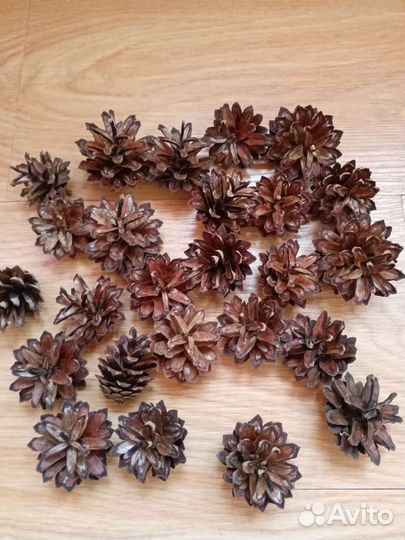 Шишки сосновые для творчества и декора. На поделки