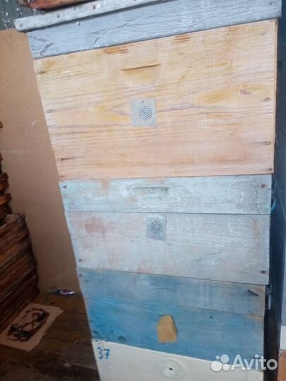 Сушь. Корпуса