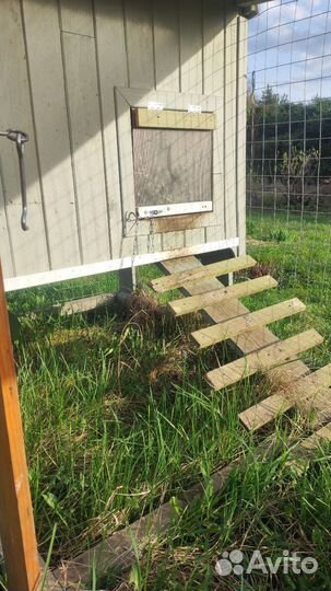 Курятник на 2-4 курочки