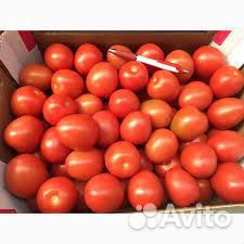Продам помидоры