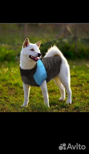 Жилетка для собак