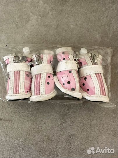 Ботинки для собак мелких пород. Осень, весна