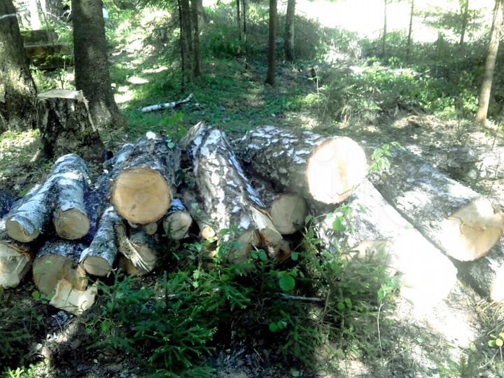 Участок 37,5 сот. (ИЖС)