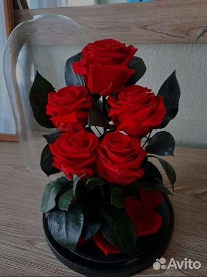 Цветы оптом