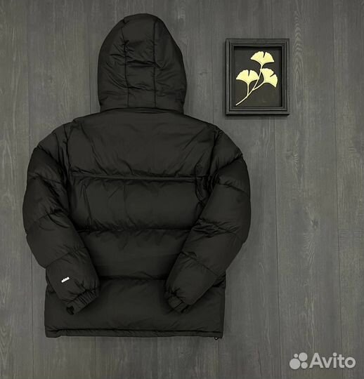 Куртки зимние adidas