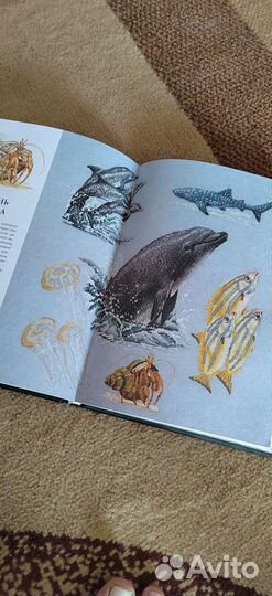 Книга схем по вышивке крестом