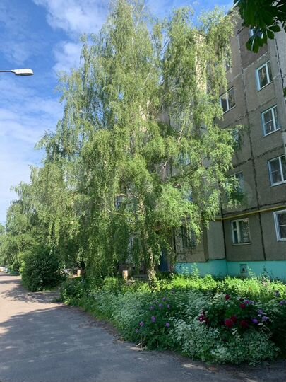 3-к. квартира, 62 м², 5/5 эт.