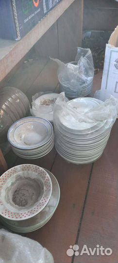 Посуда тарелки