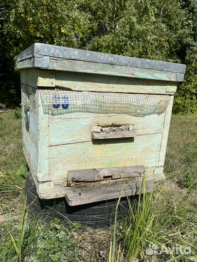 Улей для пчел