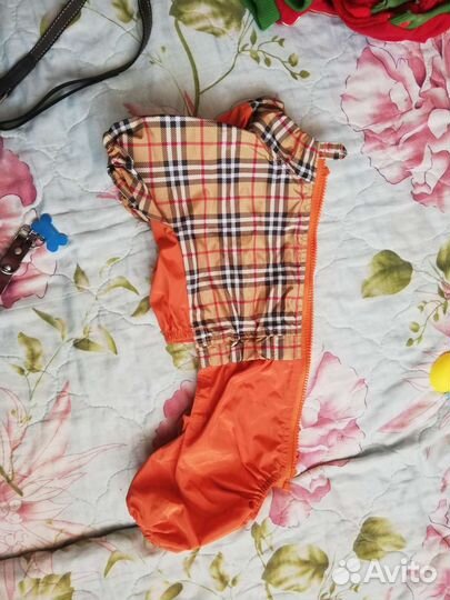 Одежда на таксу