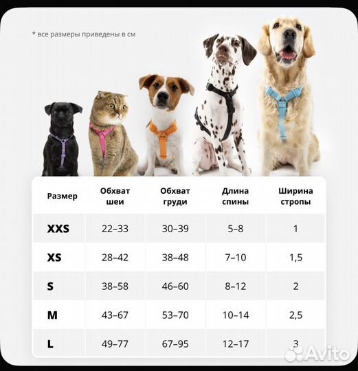 Анатомическая шлейка pro comfort