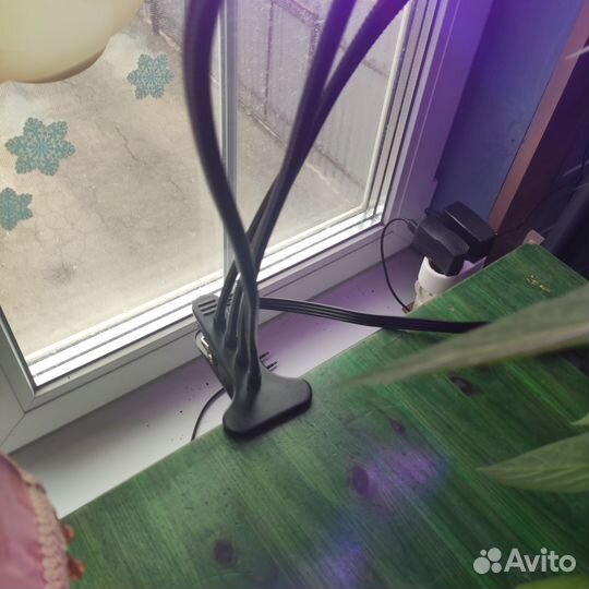 Фитолампа для растений