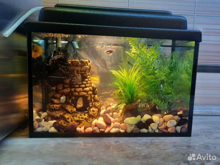 Аквариум 13 л