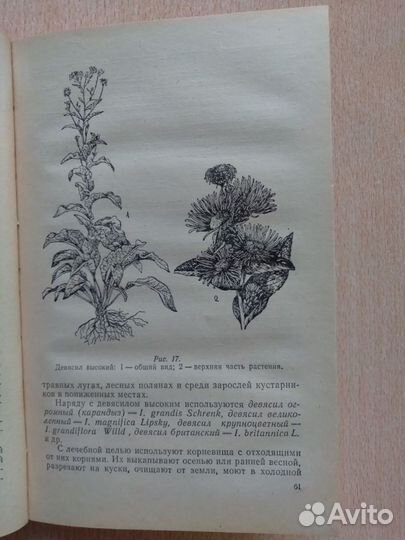 Лекарственные растения и их применение 1973 г