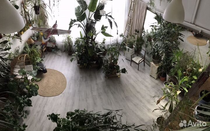 Фотостудия в аренду