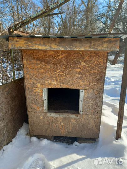 Будка для собаки