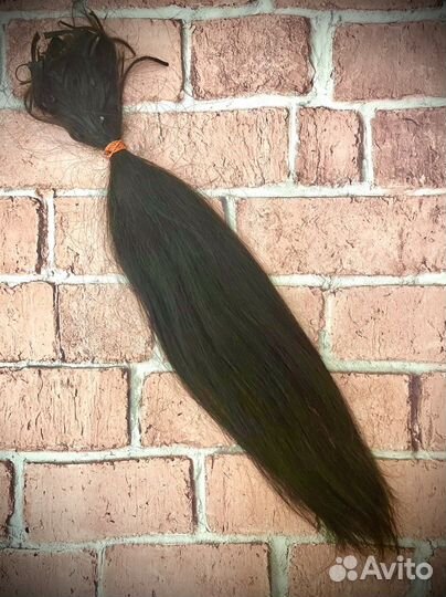 Волосы славянка некрашенные (есть фото донора)