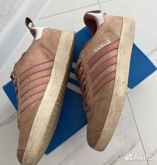 Adidas gazelle
