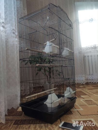 Клетка для попугаев новая