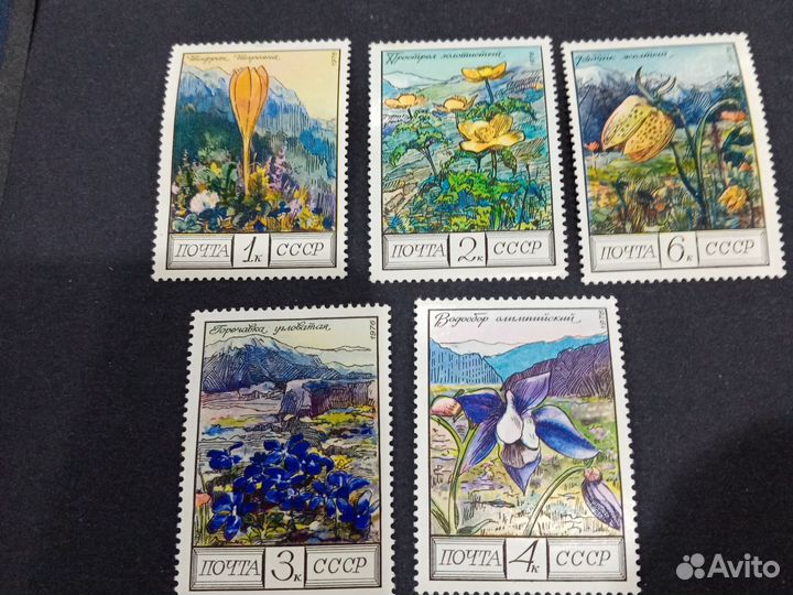 Марки цветы гор Кавказа