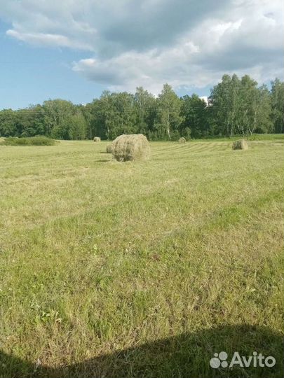 Сено