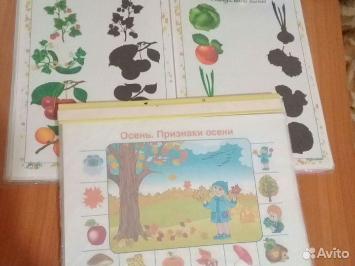 Дефектолог, логопед, подготовка к школе, курсовые