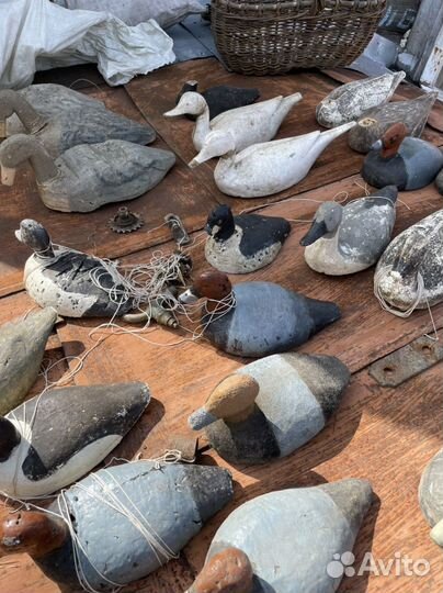 Утка приманка