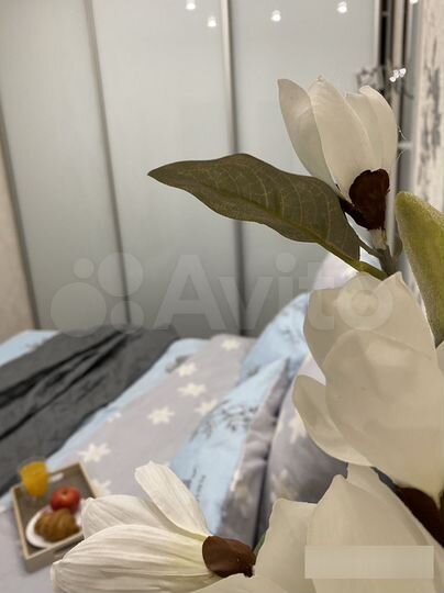 2-к. квартира, 42 м², 4/5 эт.