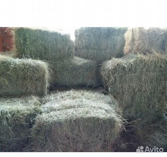 Зерно, сено