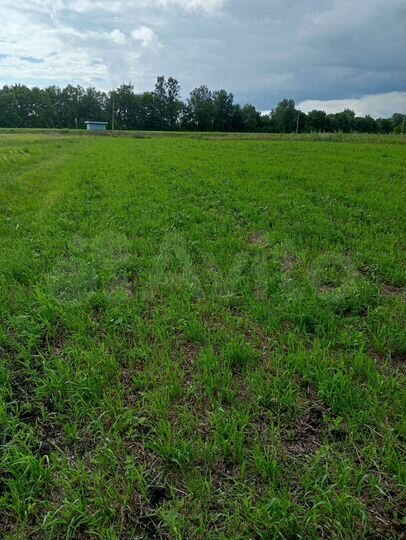 Участок 50 сот. (ИЖС)