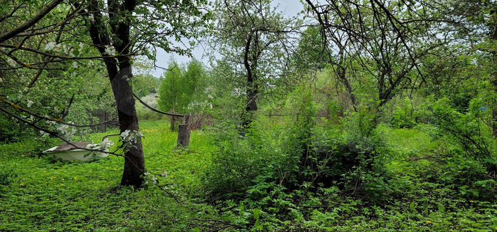 Дом 40 м² на участке 18,6 сот.