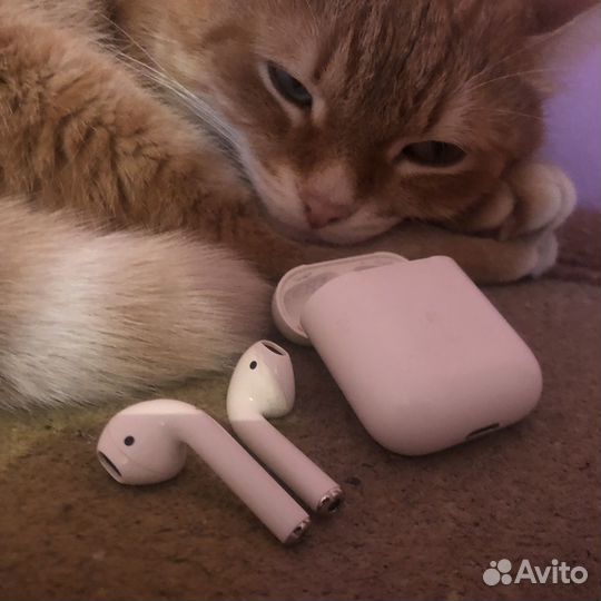 Airpods 1 оригинал